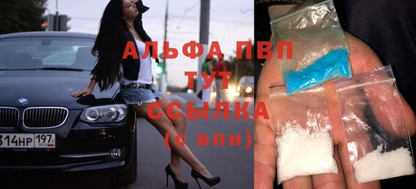 ECSTASY Богданович