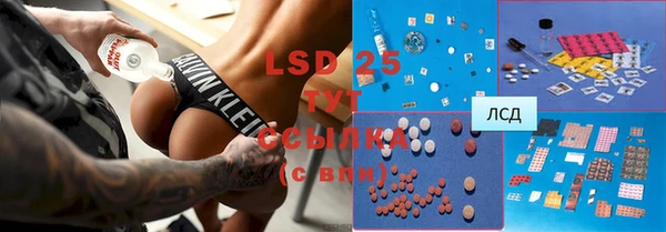 ECSTASY Богданович