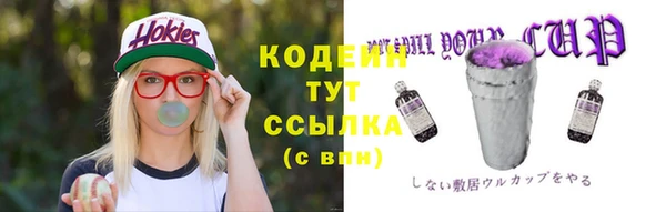 ECSTASY Богданович