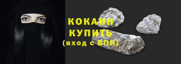 ECSTASY Богданович