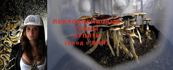 ешки Богородск