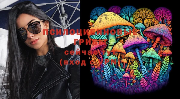 ECSTASY Богданович