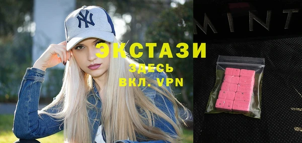 ECSTASY Богданович