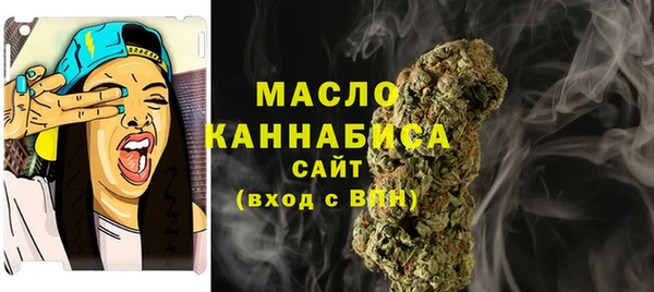 ECSTASY Богданович