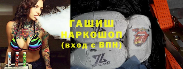 ECSTASY Богданович